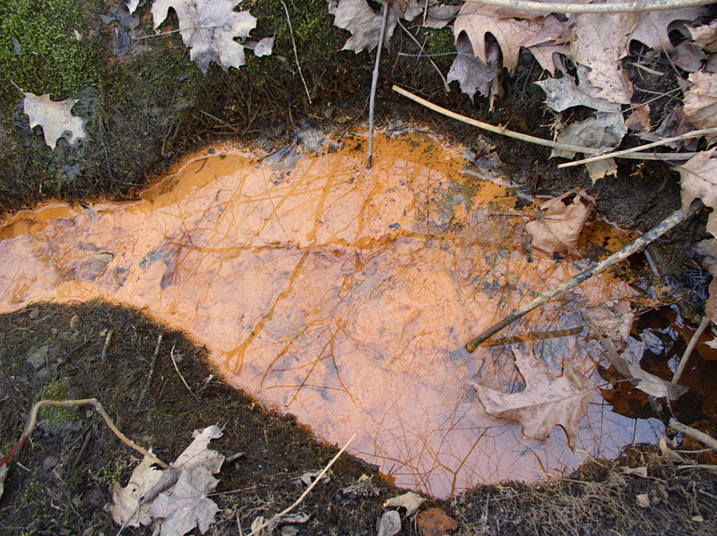 Iron Bacteria in Well Water